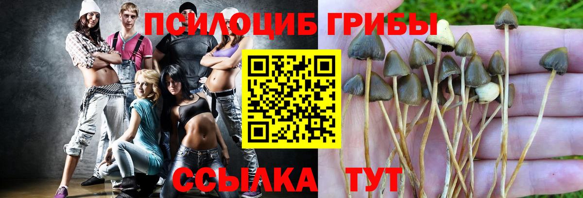Галлюциногенные грибы ЛСД Черногорск