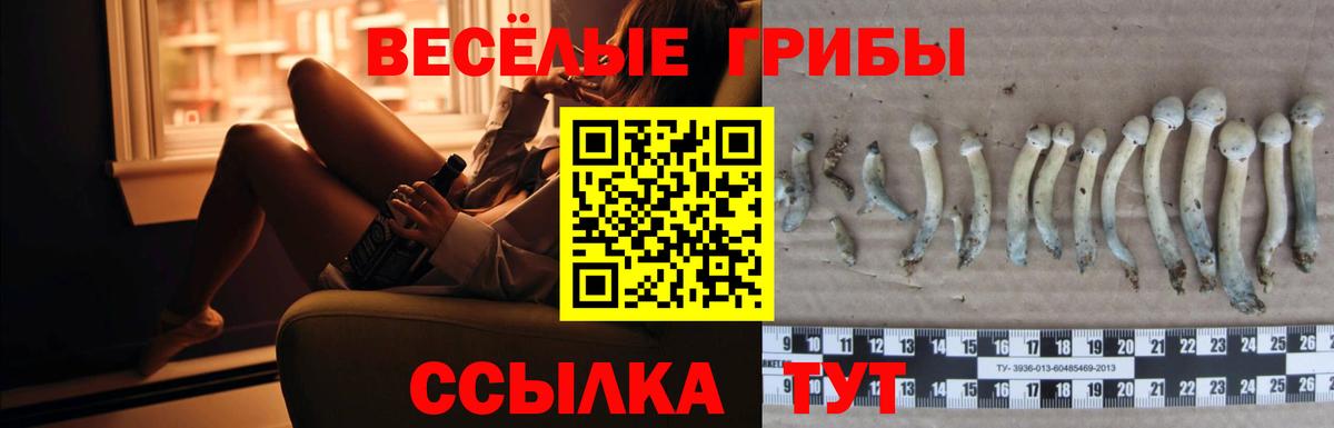 Галлюциногенные грибы мухоморы  где можно купить   Черногорск  Вход с VPN 